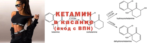 гашик Богородицк